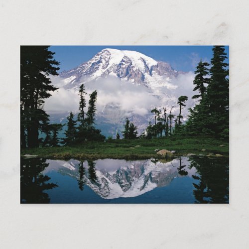 Mount Rainier relected in a mountain tarn Postcard