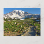 Mount Rainier Skyline Trail Postcard