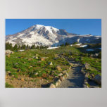 Mount Rainier Skyline Trail Poster