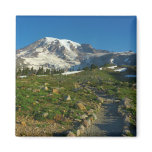 Mount Rainier Skyline Trail View Magnet