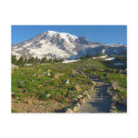 Mount Rainier Skyline Trail View Postcard