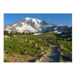 Mount Rainier Skyline Trail View Poster