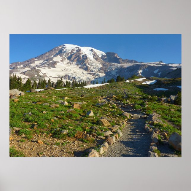 Mount Rainier Skyline Trail View Poster (Front)