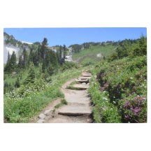 mount rainier trailway 001