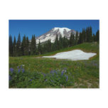 Mount Rainier, Wildflowers and Snow Postcard
