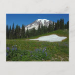 Mount Rainier, Wildflowers and Snow Postcard