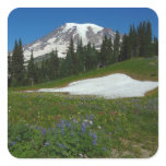 Mount Rainier, Wildflowers and Snow Square Sticker