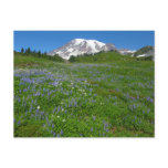 Mount Rainier with Purple Lupins Postcard