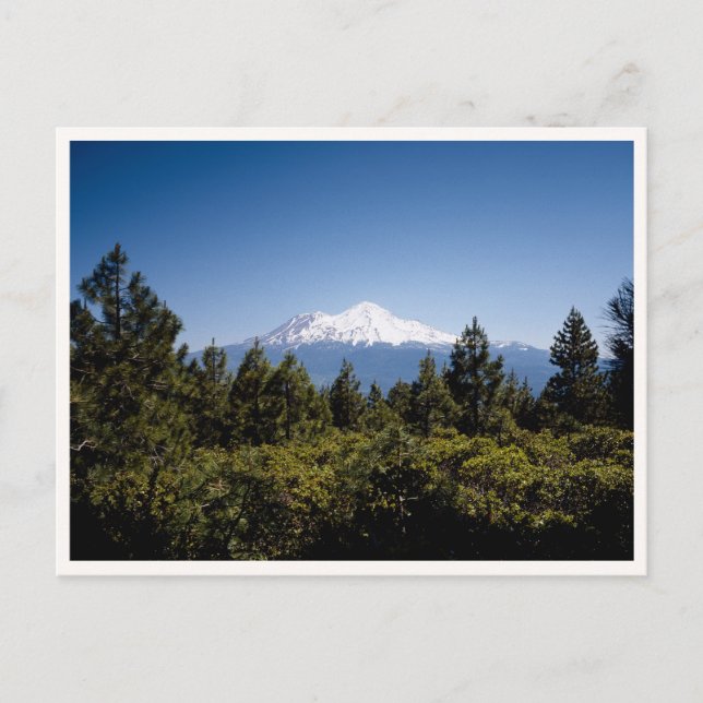 Mount Ranier Washington Pacific Northwest Postcard (Front)