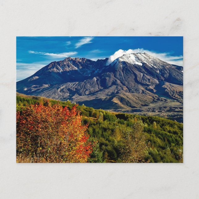 Mount Saint Helens, Washington Postcard (Front)