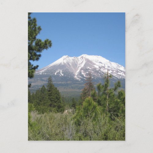 Mount Shasta California Postcard