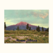 Mount Shasta Vintage Postcard