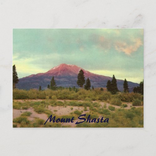 Mount Shasta Vintage Postcard