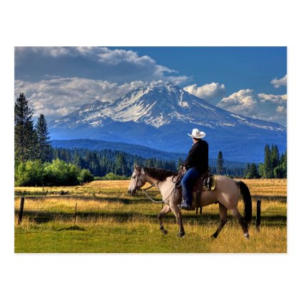 MOUNT SHASTA WITH HORSE AND RIDER POSTCARD