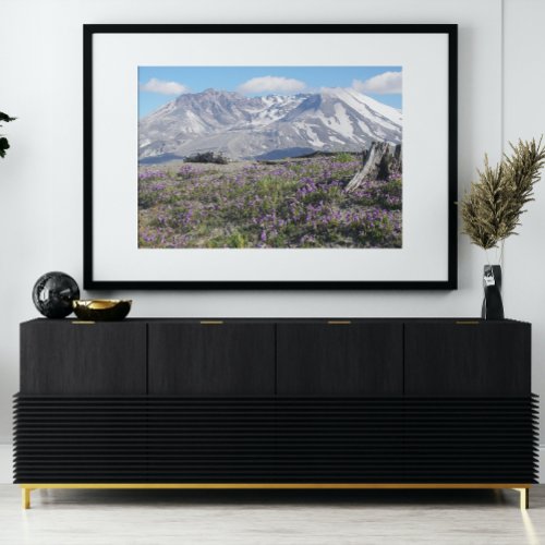 Mount St Helens and Wildflowers Landscape Photo Print