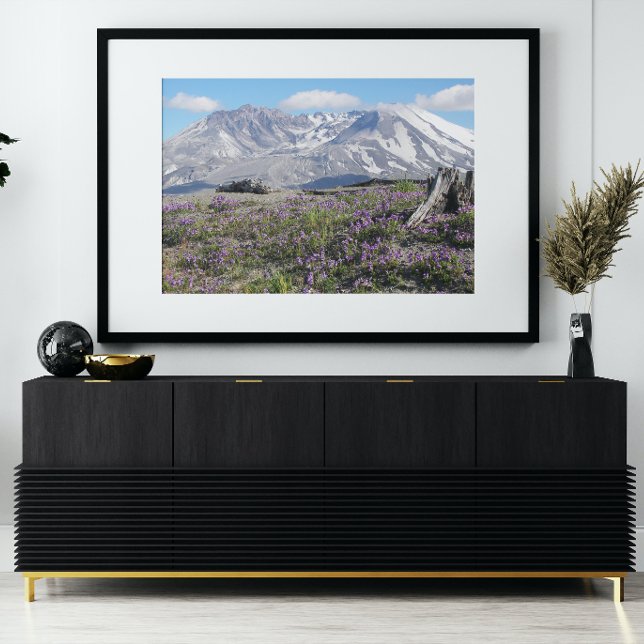 Mount St Helens and Wildflowers Landscape Photo Print (In Situ Framed)