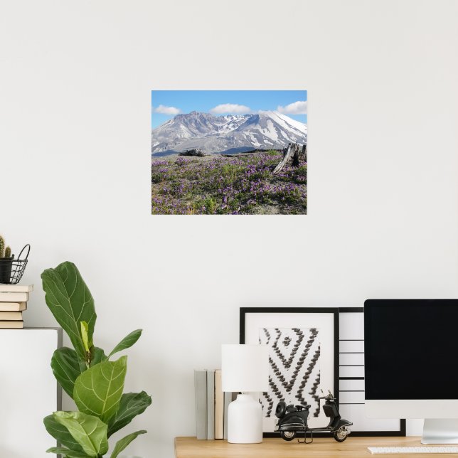 Mount St Helens and Wildflowers Landscape Poster (Home Office)