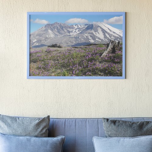 Mount St Helens and Wildflowers Landscape Poster