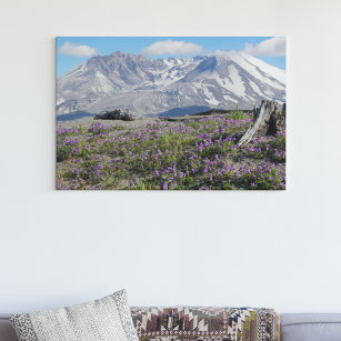 Mount St Helens and Wildlfowers Landscape Canvas Print