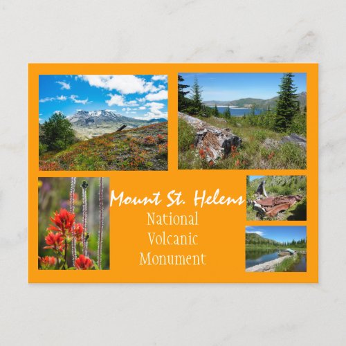 Mount St Helens Collage Postcard