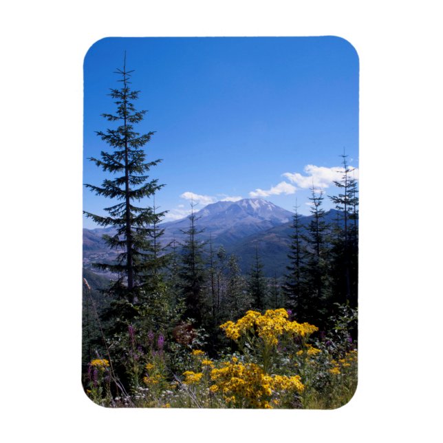 Mount St Helens Magnet (Vertical)