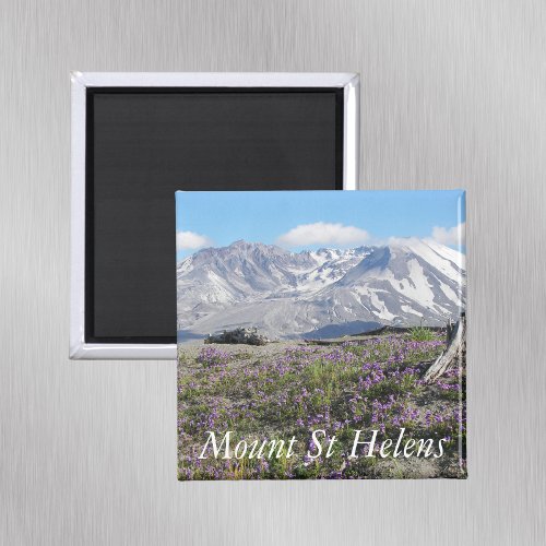 Mount St Helens Wildflowers Landscape Magnet