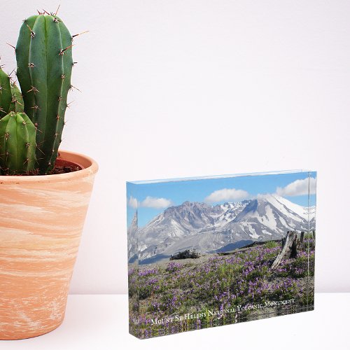 Mount St Helens Wildflowers Photo Block