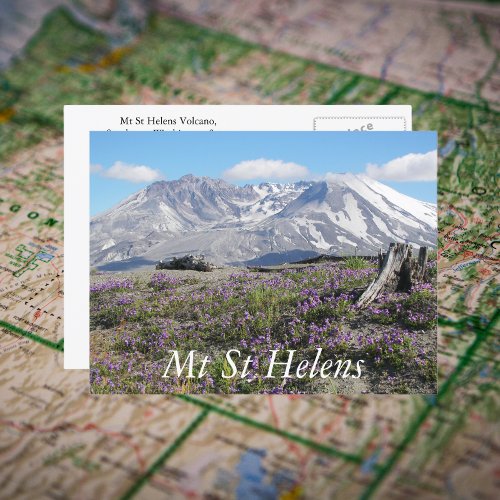Mount St Helens Wildflowers Travel Photo Postcard
