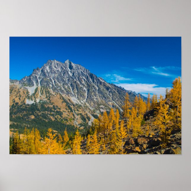 Mount Stuart & autumn larches Poster (Front)
