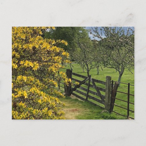 Mount Stuart Orchard  Gate Isle of Bute Scotland Postcard