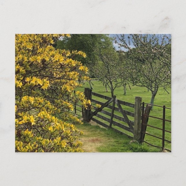 Mount Stuart Orchard & Gate Isle of Bute, Scotland Postcard (Front)