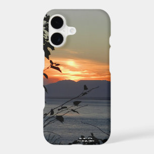 Mount Susitna Alaska iPhone 17 Case