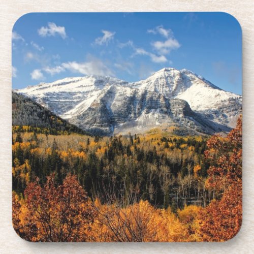Mount Timpanogos in Autumn Utah Mountains Coaster
