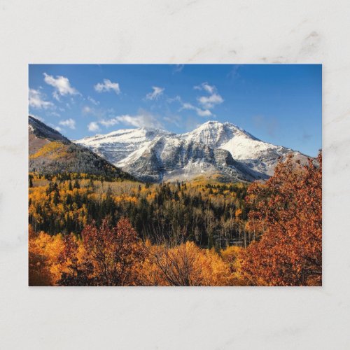 Mount Timpanogos in Autumn Utah Mountains Postcard