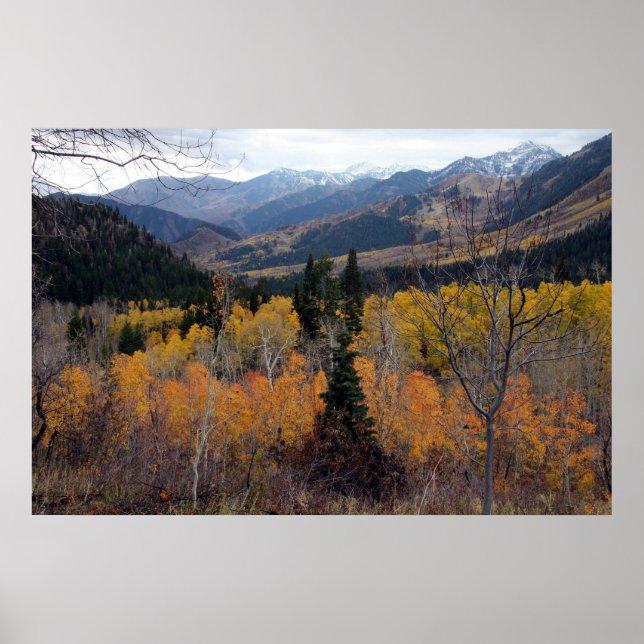 Mount Timpanogos, Utah Poster (Front)