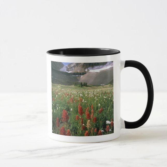 MOUNT TIMPANOGOS WILDERNESS, UT, US, MUG (Right)