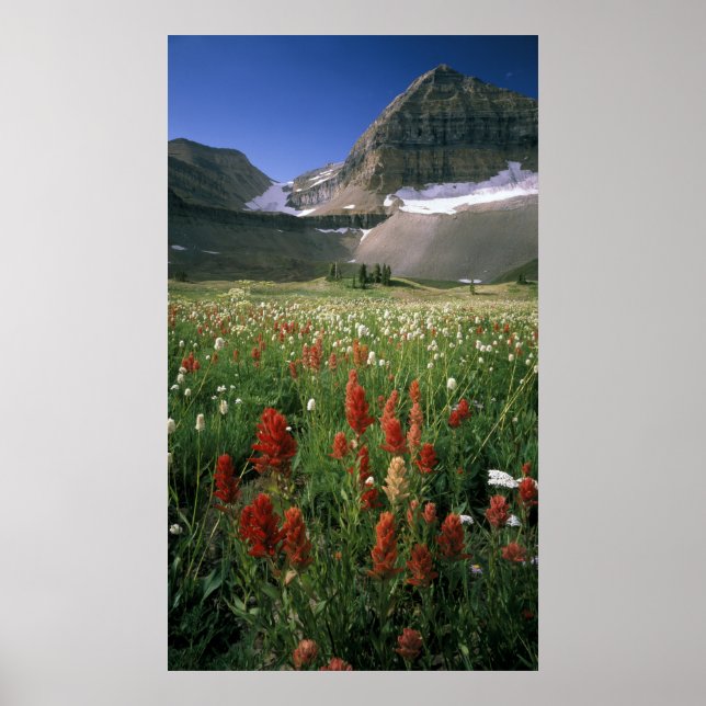 MOUNT TIMPANOGOS WILDERNESS, UT, US, POSTER (Front)