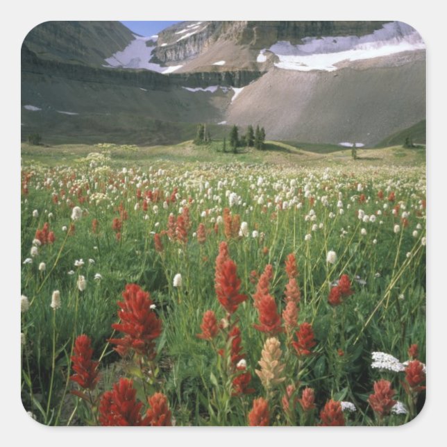MOUNT TIMPANOGOS WILDERNESS, UT, US, SQUARE STICKER (Front)