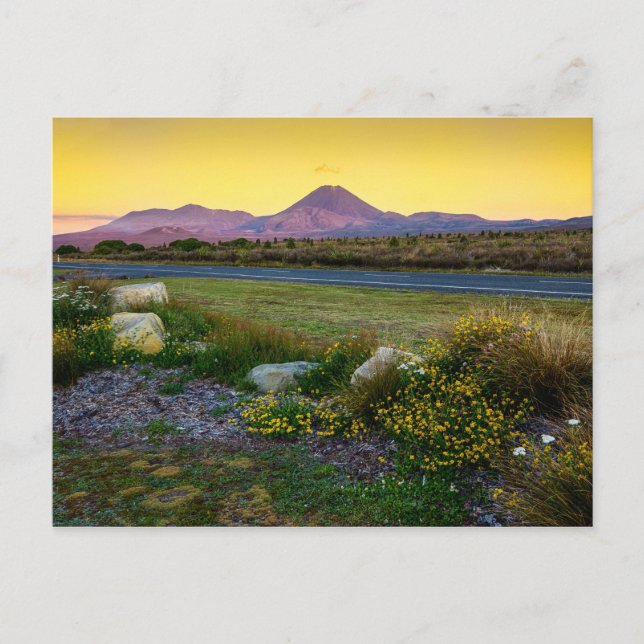 Mount Tongariro, New Zealand Postcard (Front)