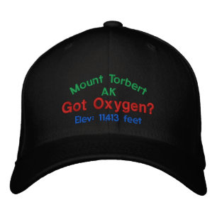 Mount Torbert Alaska Elevation Cap