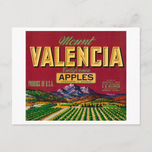 Mount Valencia Apple Label _ Watsonville CA Postcard