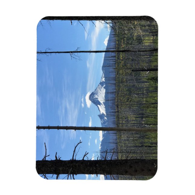 Mount Washington, OR Magnet (Vertical)