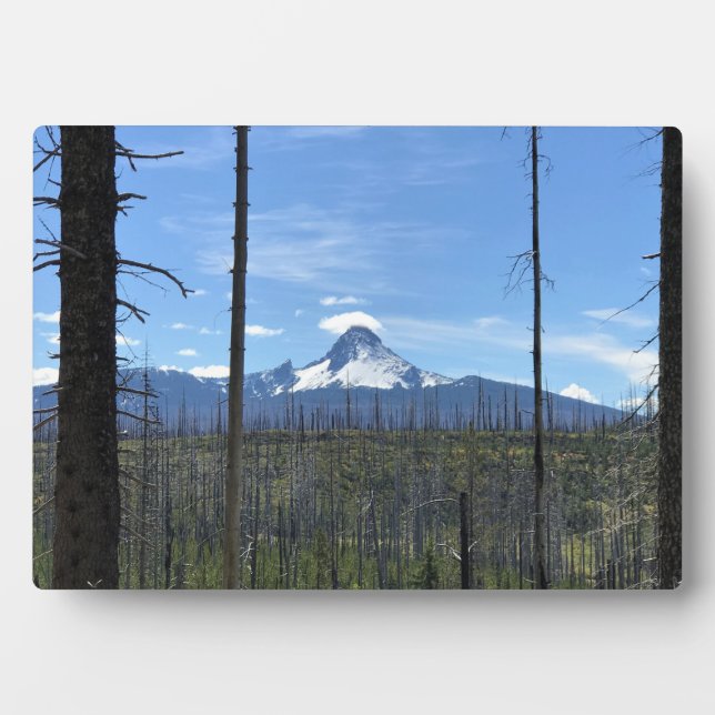 Mount Washington, OR Plaque (Front)