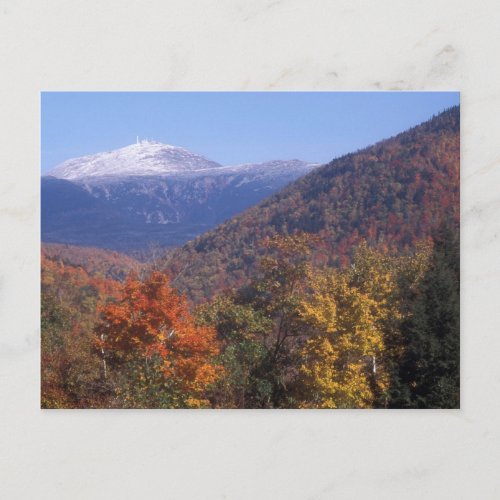 Mount Washington Snow Foliage Postcard