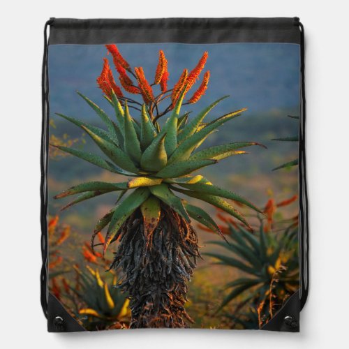 Mountain Aloe Aloe Marlothii Berger 2 Drawstring Bag