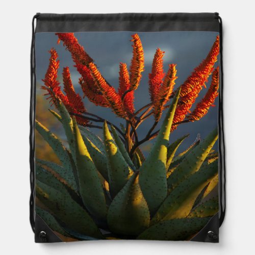 Mountain Aloe Aloe Marlothii Berger Drawstring Bag