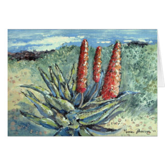 Mountain Aloe Cards