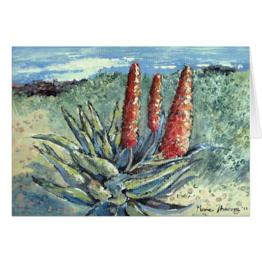 Mountain Aloe Cards (Front Horizontal)