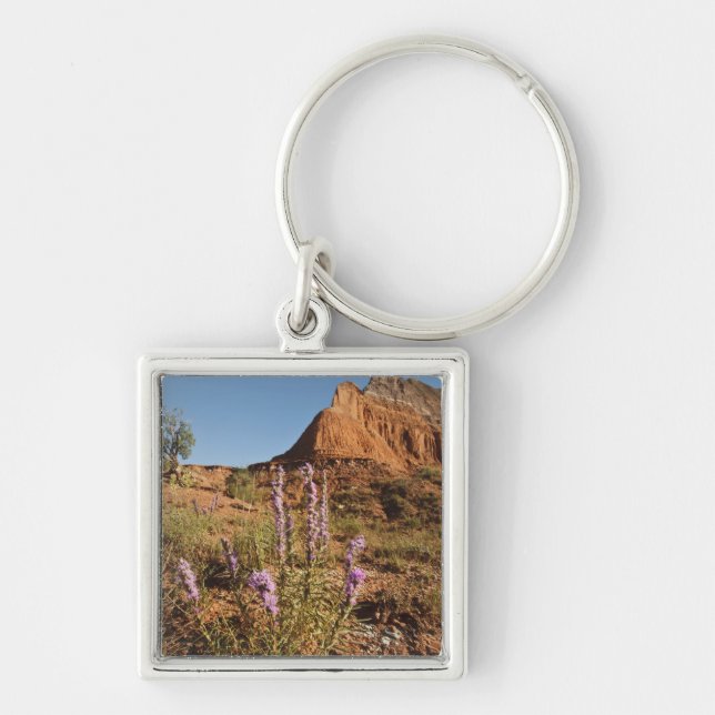 Mountain and Gayfeather Keychain (Front)
