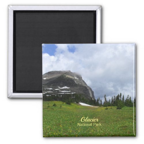 Mountain and Meadow Glacier National Park Photo Magnet